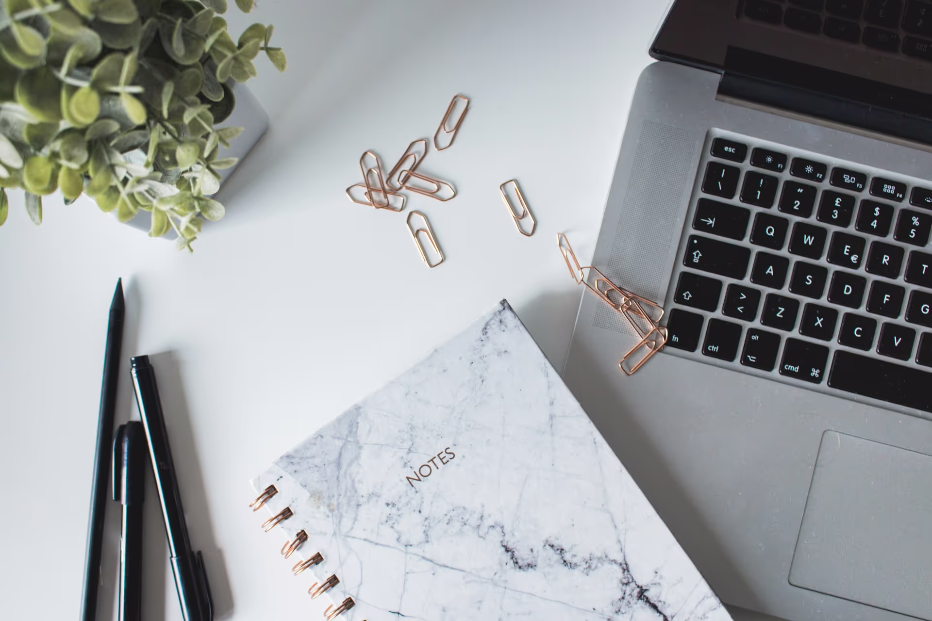How to Build an MVP App with Fuselio